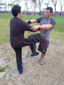 Wing Chun Training 2014 05 15_02