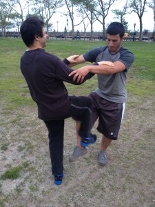 Wing Chun Training 2014 05 15_04