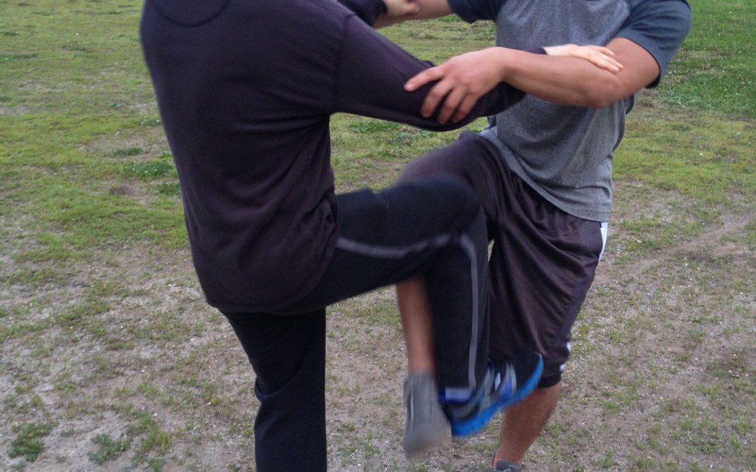 Wing Chun Training: May 20, 2014