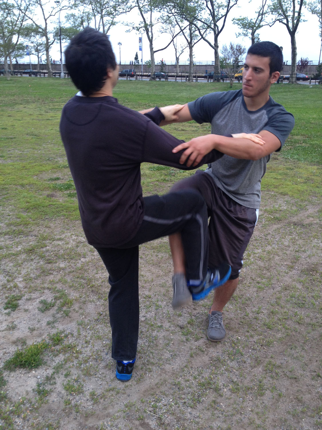 Wing Chun Training: May 20, 2014