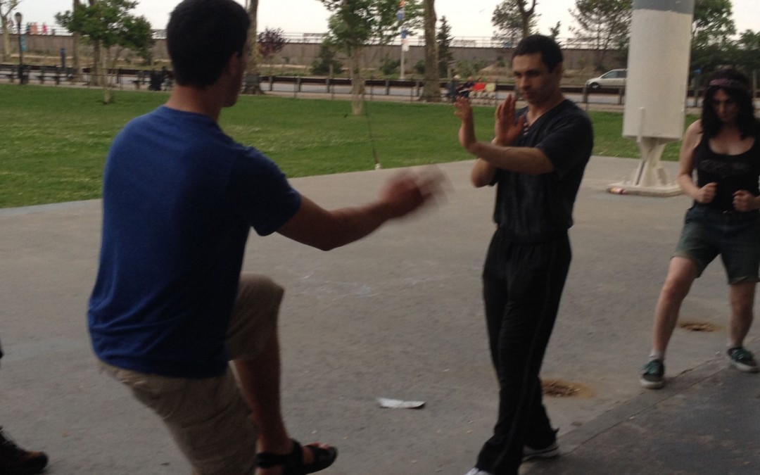 Wing Chun Training: June 3, 2014