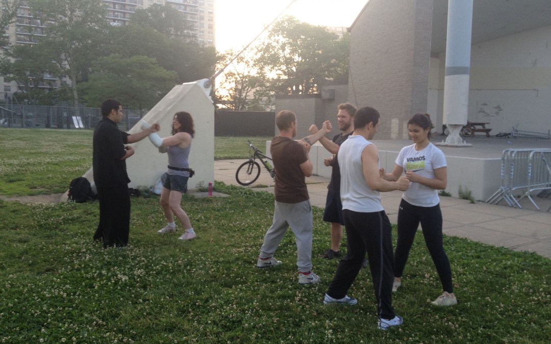 Wing Chun Training: June 17, 2014