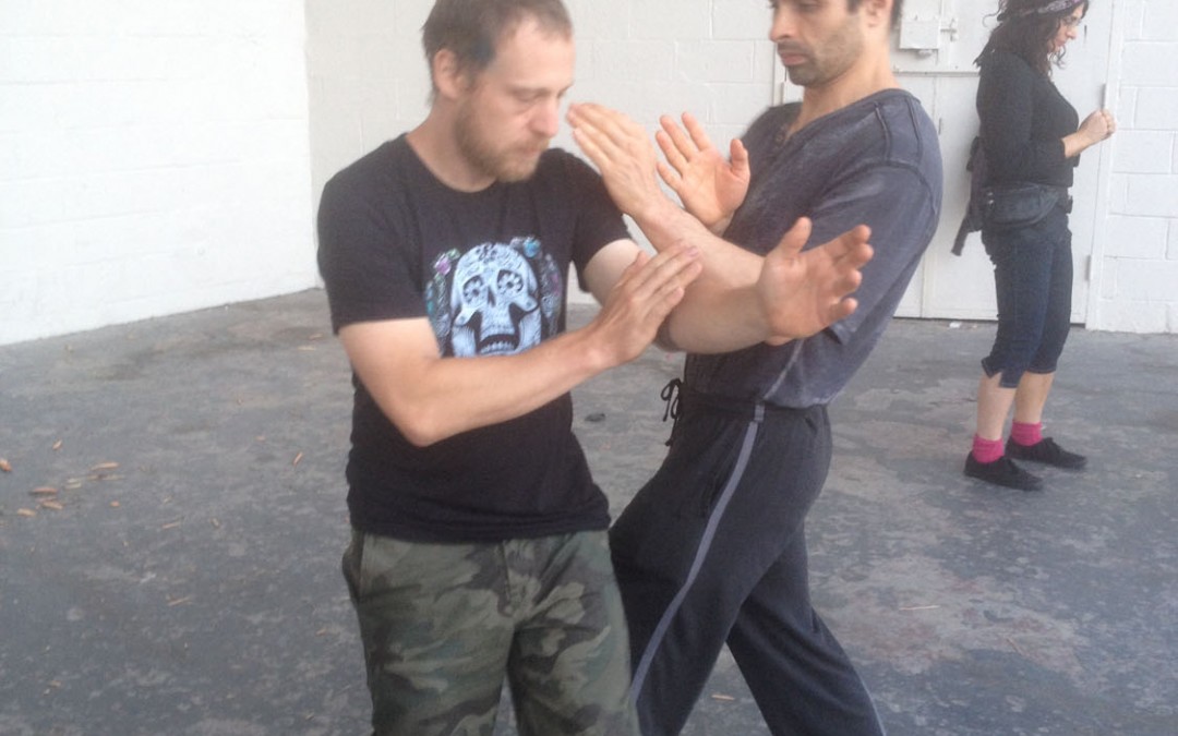 Wing Chun Training: June 24, 2014