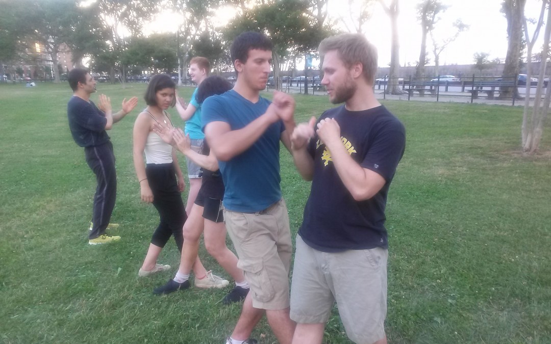 Wing Chun Training: June 26, 2014