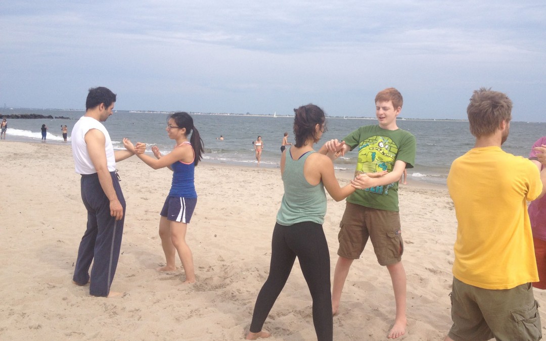 Wing Chun Training: July 19, 2014