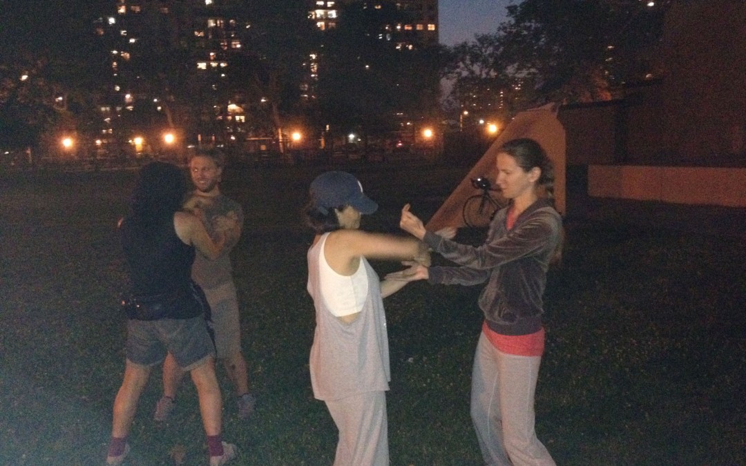 Wing Chun Training: July 22, 2014