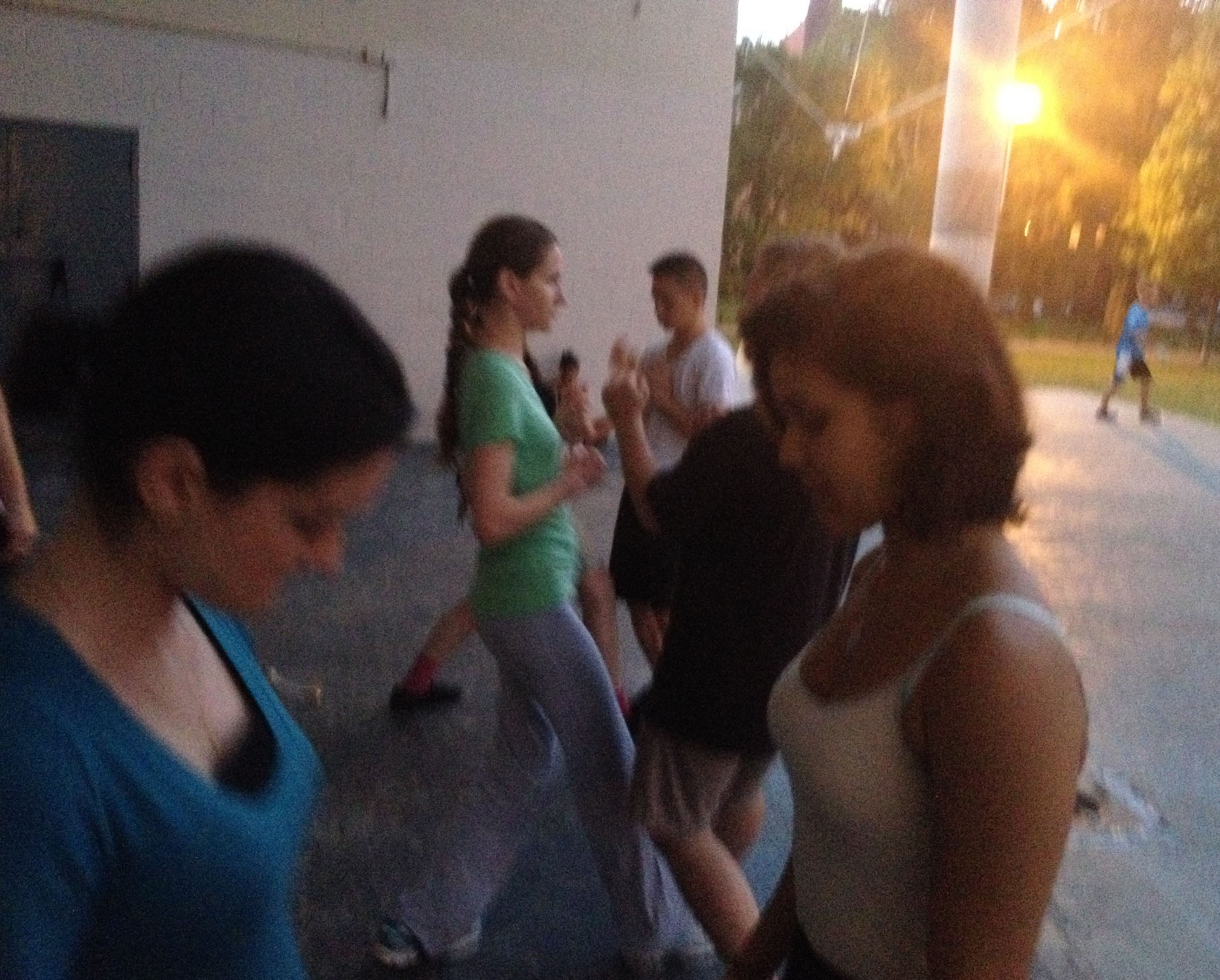 Wing Chun Training: July 31, 2014