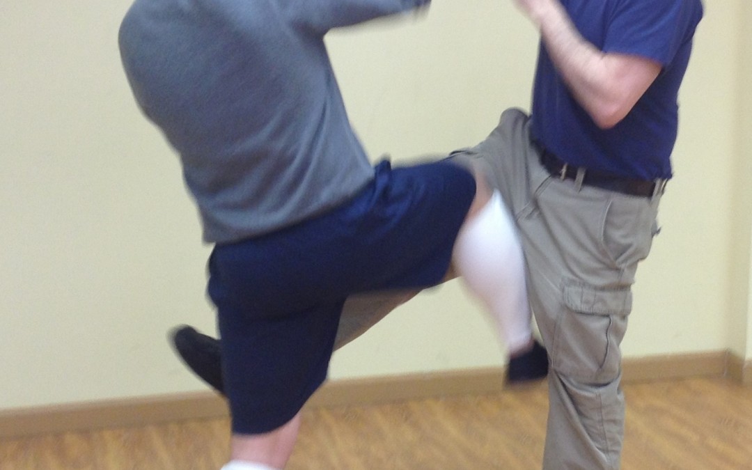 Wing Chun Training: January 22, 2015