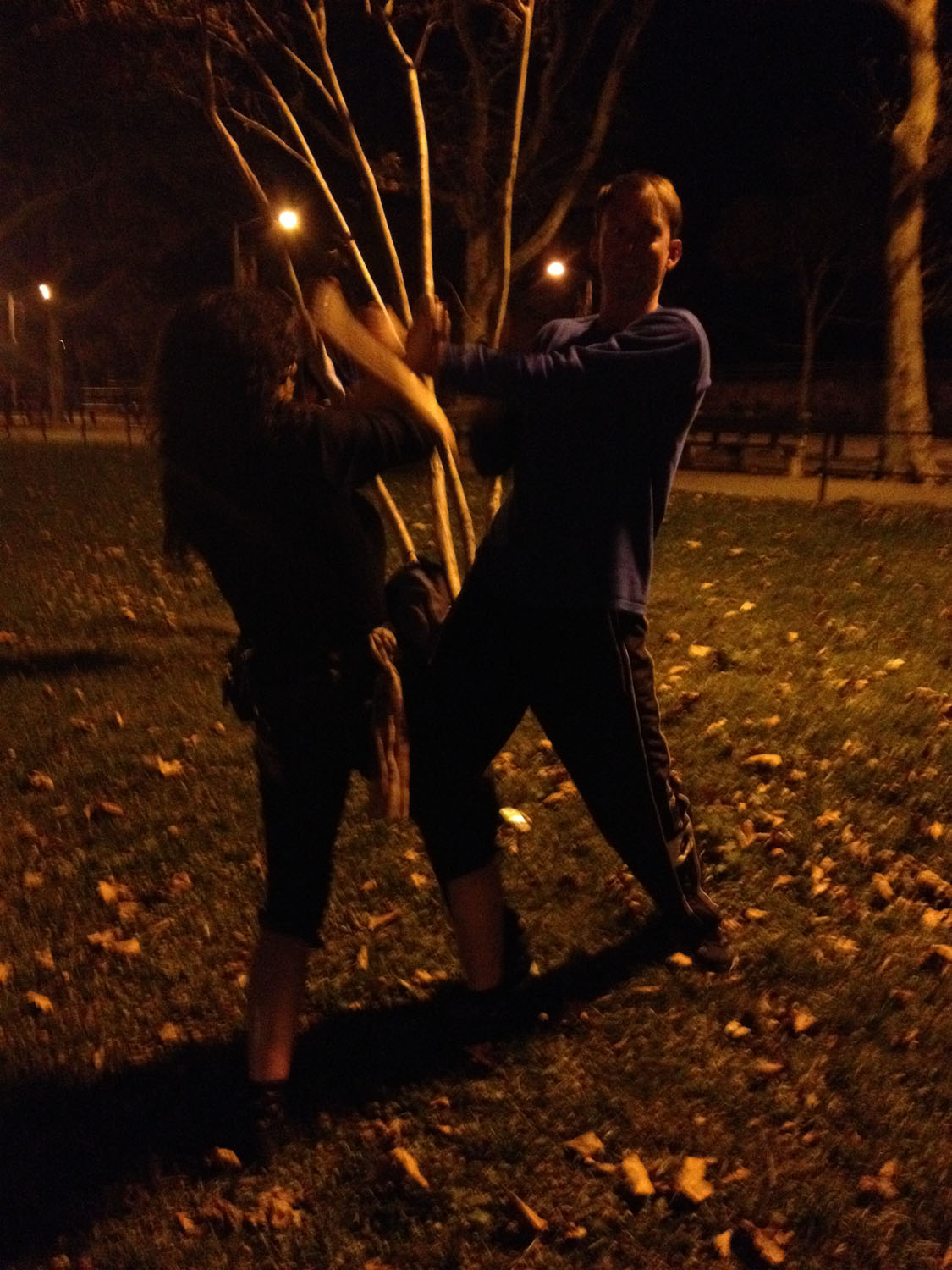 Wing Chun Training: October 14, 2014