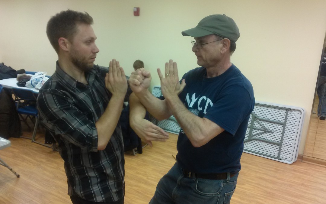Wing Chun Training: December 11, 2014