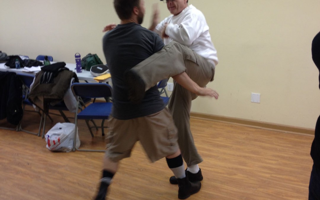 Wing Chun Training: January 6, 2015