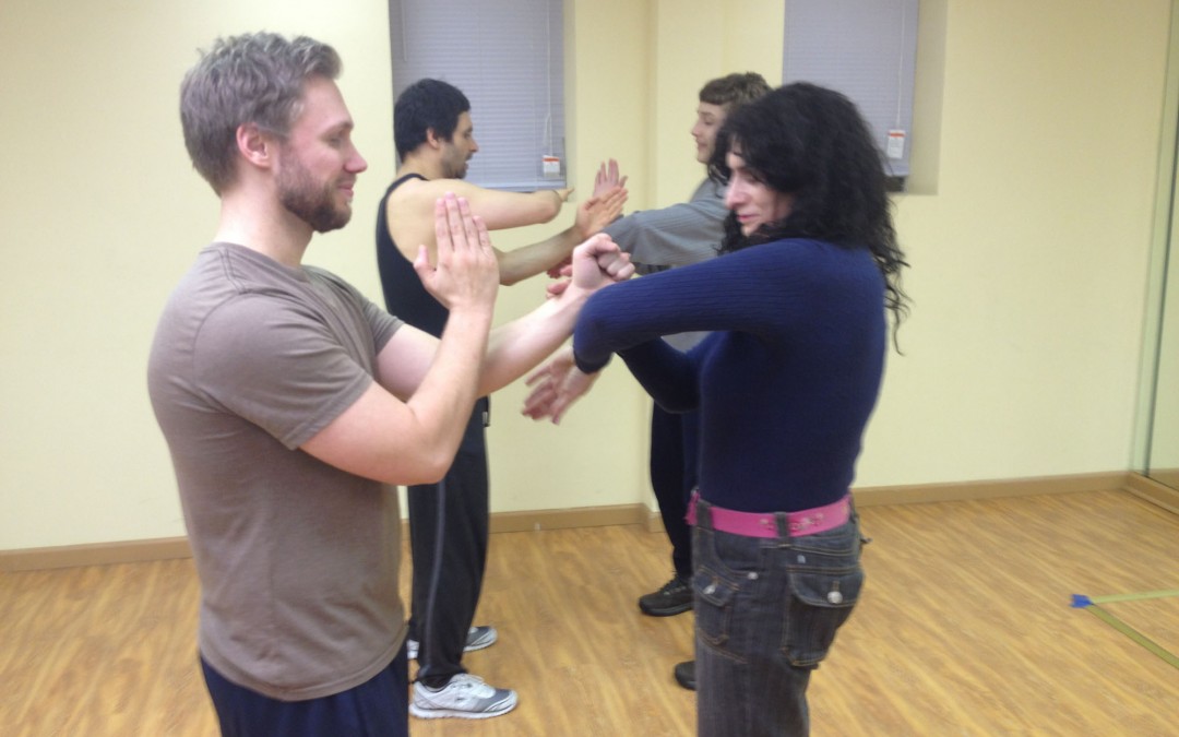Wing Chun Training: January 29, 2015