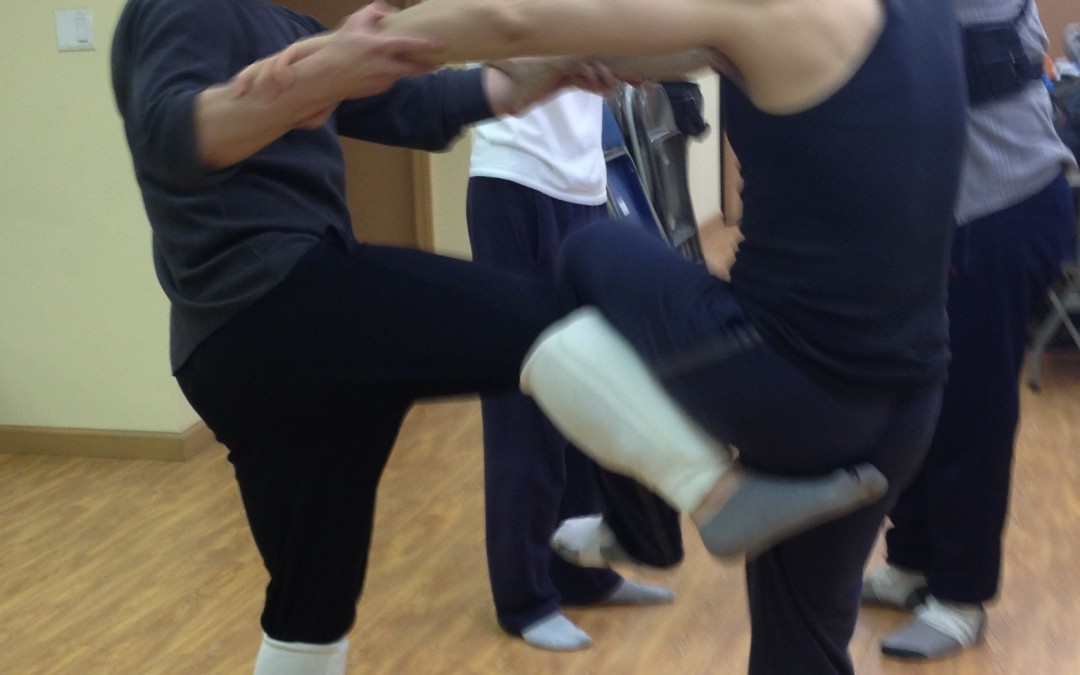 Wing Chun Training: February 10, 2015