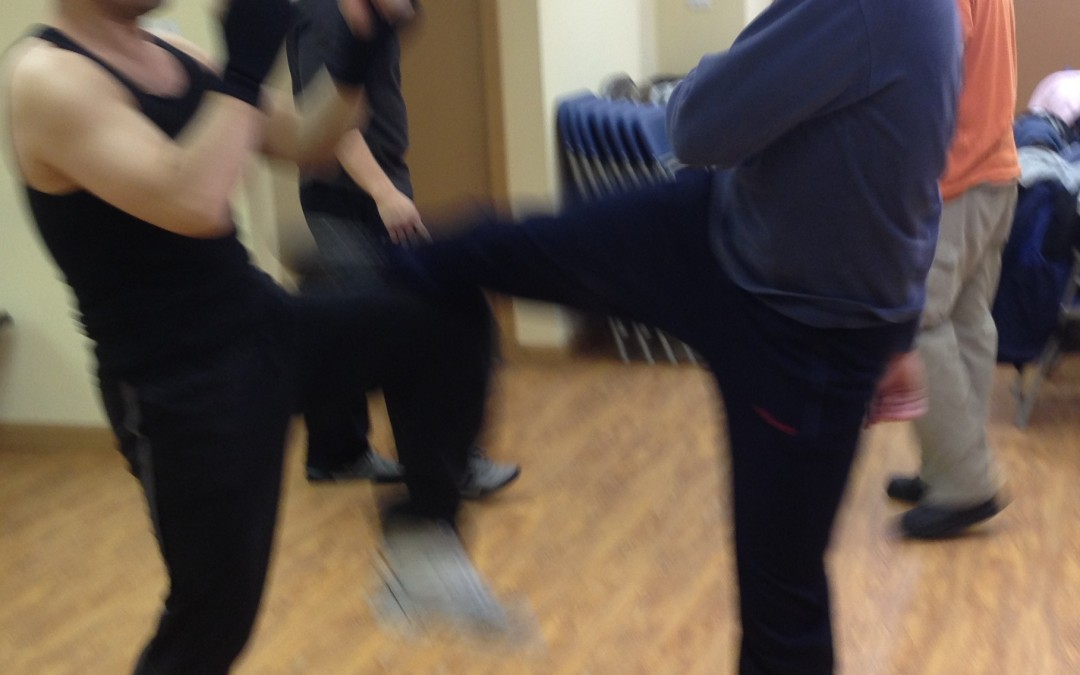 Wing Chun Training: February 12, 2015