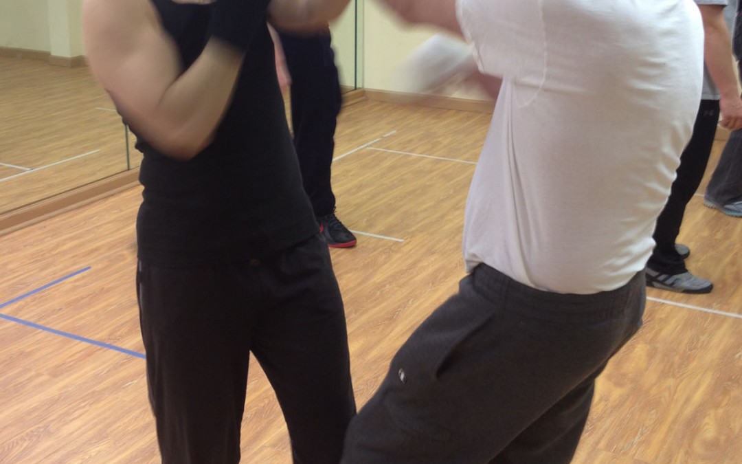 Wing Chun Training: March 19, 2015