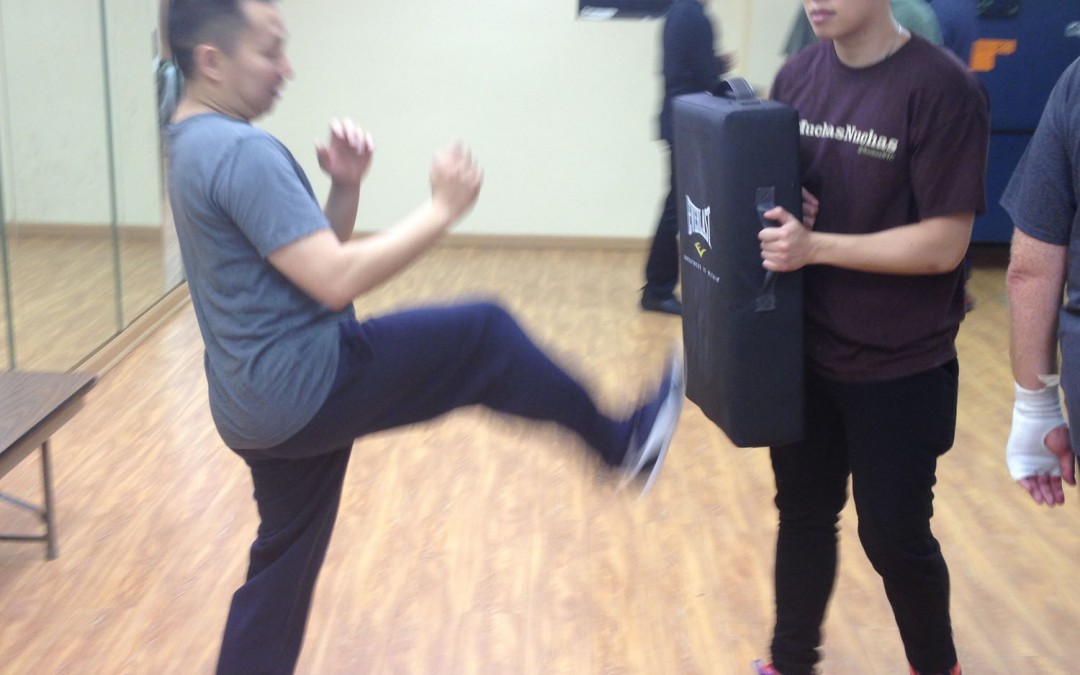 Wing Chun Training: November 19, 2015
