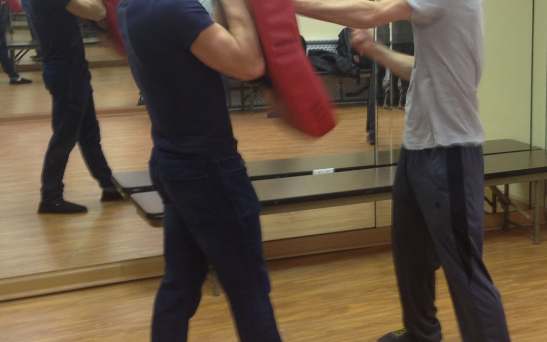 Wing Chun Training: November 24, 2015
