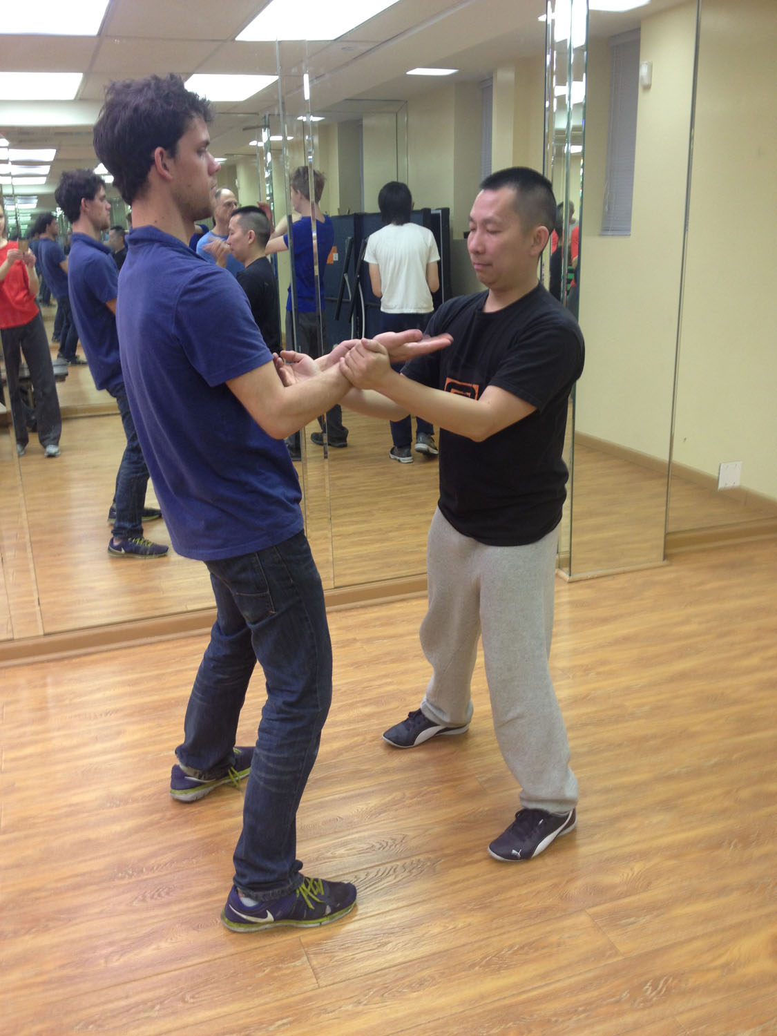 Wing Chun Training: January 19, 2016