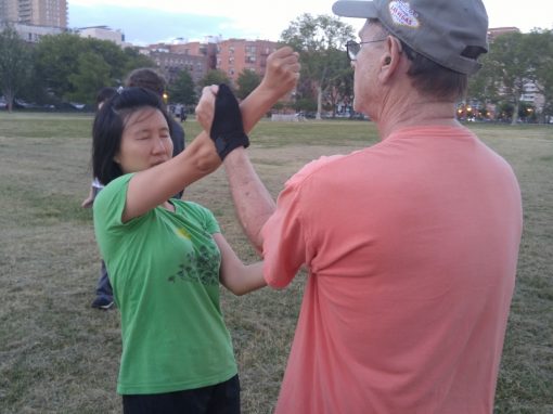 Wing Chun Training: June 30, 2016